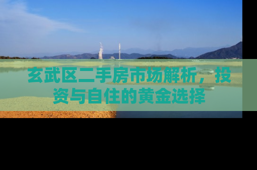 玄武区二手房市场解析，投资与自住的黄金选择