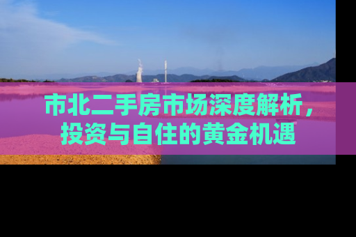 市北二手房市场深度解析，投资与自住的黄金机遇