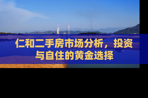 仁和二手房市场分析，投资与自住的黄金选择