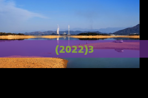 (2022)3