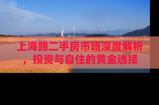 上海路二手房市场深度解析，投资与自住的黄金选择