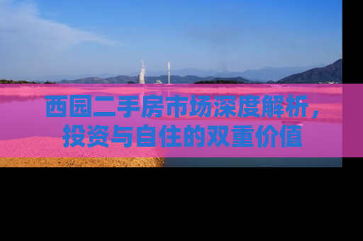 西园二手房市场深度解析，投资与自住的双重价值