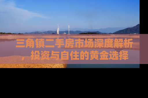 三角镇二手房市场深度解析，投资与自住的黄金选择