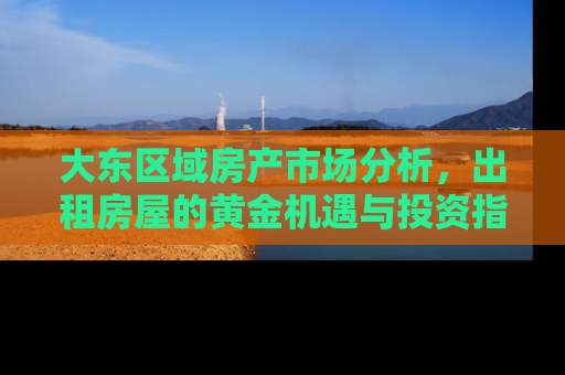 大东区域房产市场分析，出租房屋的黄金机遇与投资指南