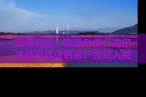 家电升级，生活升级，海尔冰箱专卖店的房产经纪人视角
