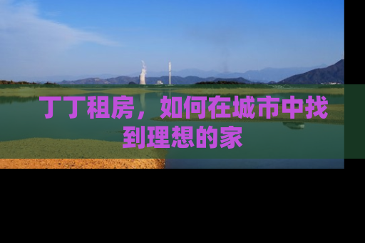 丁丁租房，如何在城市中找到理想的家