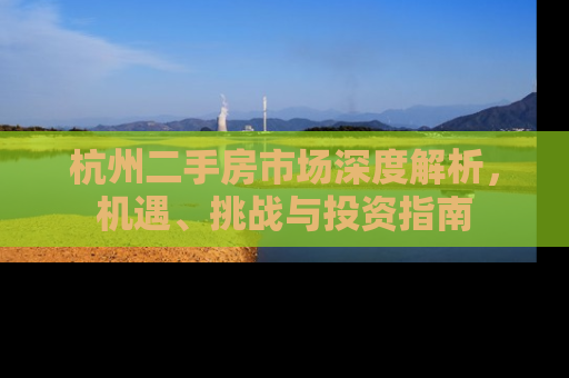 杭州二手房市场深度解析，机遇、挑战与投资指南