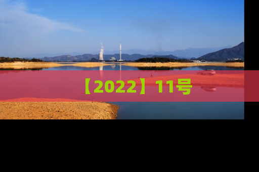 【2022】11号
