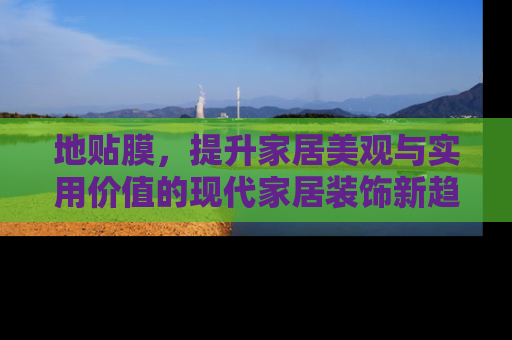 地贴膜，提升家居美观与实用价值的现代家居装饰新趋势