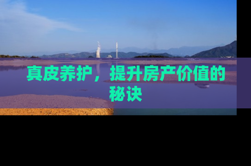 真皮养护，提升房产价值的秘诀