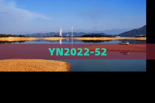YN2022-52