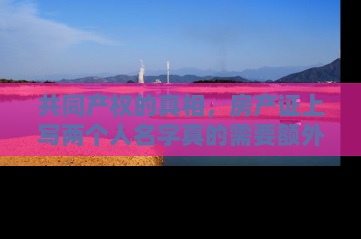 共同产权的真相，房产证上写两个人名字真的需要额外加钱吗？