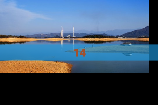 14