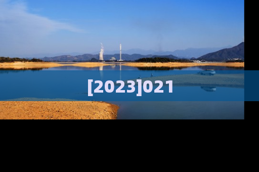 [2023]021