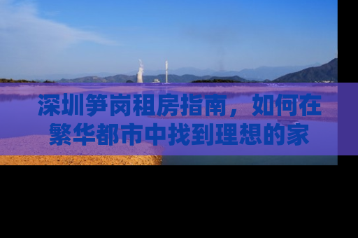 深圳笋岗租房指南，如何在繁华都市中找到理想的家