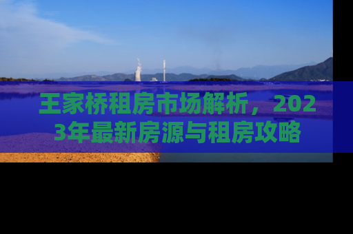 王家桥租房市场解析，2023年最新房源与租房攻略