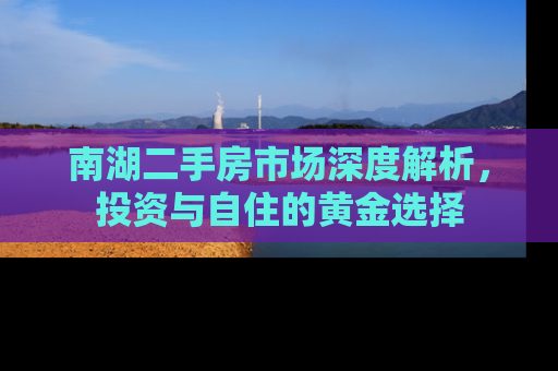 南湖二手房市场深度解析，投资与自住的黄金选择