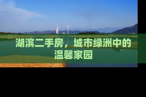 湖滨二手房，城市绿洲中的温馨家园