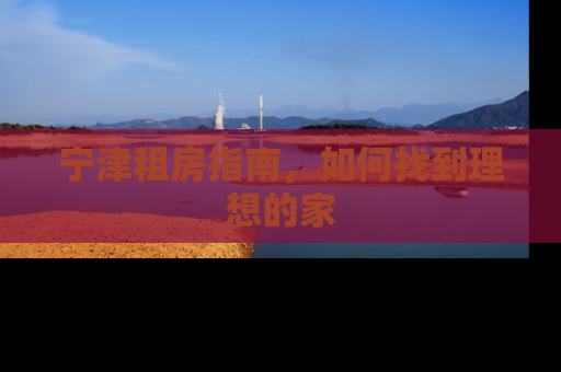 宁津租房指南，如何找到理想的家