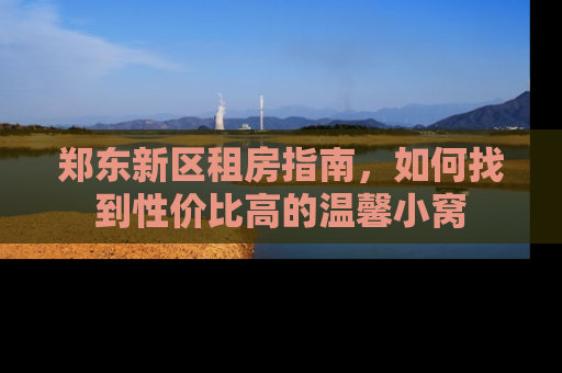 郑东新区租房指南，如何找到性价比高的温馨小窝