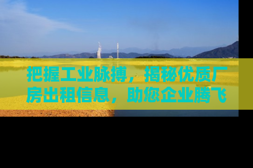 把握工业脉搏，揭秘优质厂房出租信息，助您企业腾飞