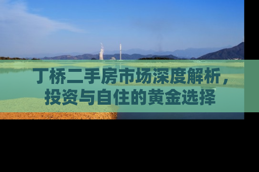 丁桥二手房市场深度解析，投资与自住的黄金选择