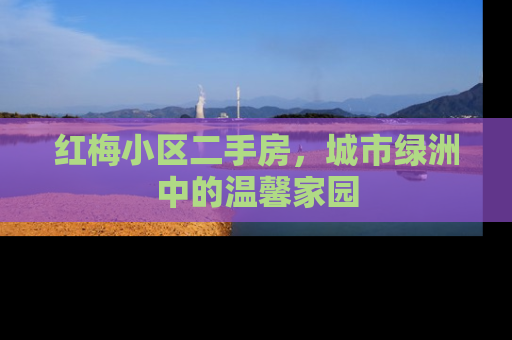 红梅小区二手房，城市绿洲中的温馨家园