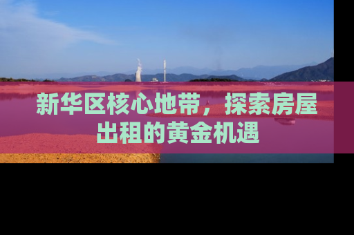 新华区核心地带，探索房屋出租的黄金机遇