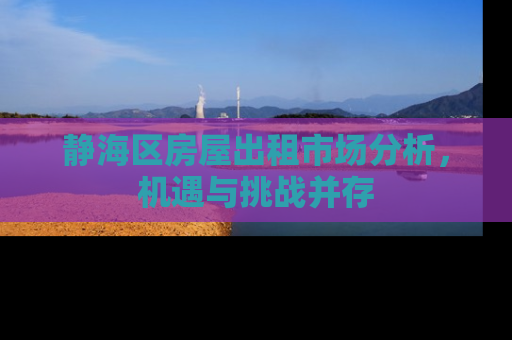 静海区房屋出租市场分析，机遇与挑战并存