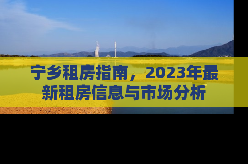宁乡租房指南，2023年最新租房信息与市场分析