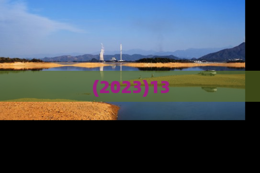 (2023)13