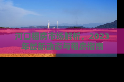 河口租房市场解析，2023年最新动态与租房指南