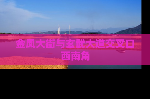 金凤大街与玄武大道交叉口西南角