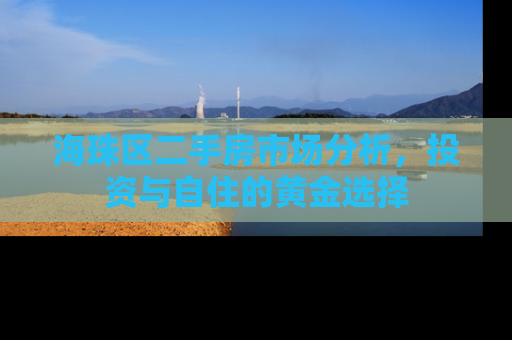 海珠区二手房市场分析，投资与自住的黄金选择
