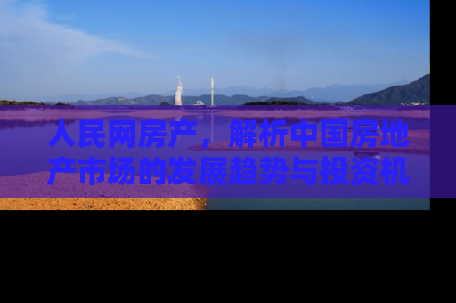人民网房产，解析中国房地产市场的发展趋势与投资机遇