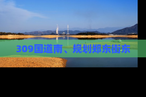 309国道南、规划郑东街东