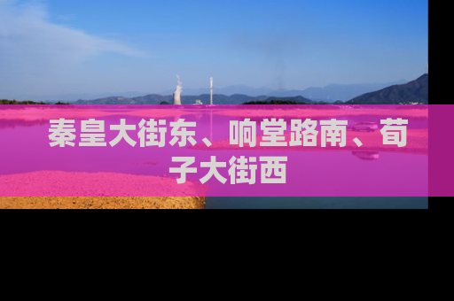 秦皇大街东、响堂路南、荀子大街西