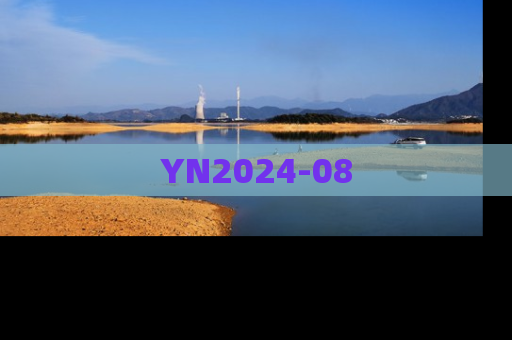YN2024-08