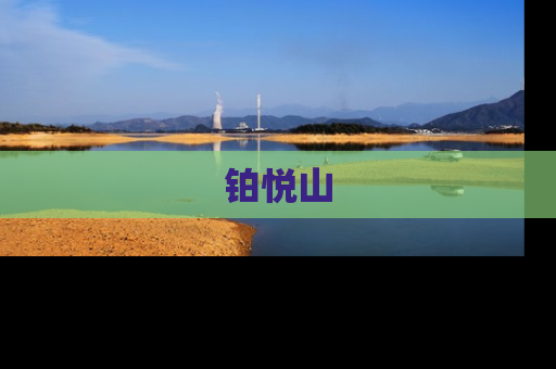 铂悦山