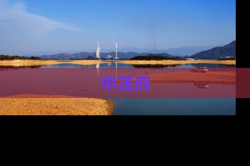 中茂府