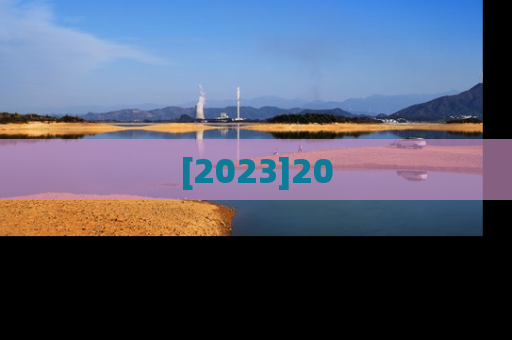 [2023]20