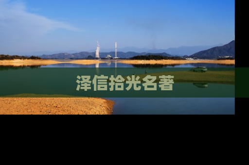 泽信拾光名著