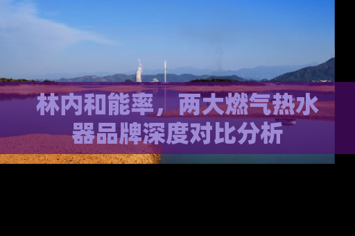 林内和能率，两大燃气热水器品牌深度对比分析