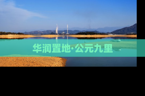 华润置地·公元九里