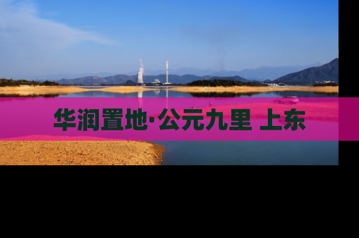 华润置地·公元九里 上东