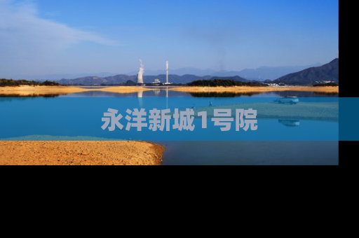 永洋新城1号院