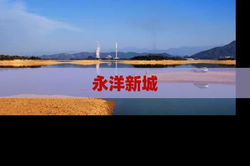 永洋新城