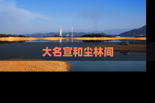 大名宣和尘林间