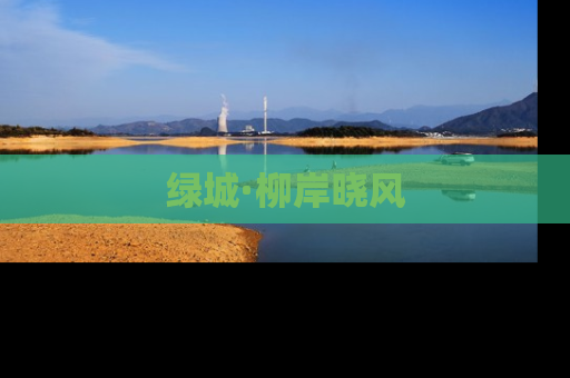 绿城·柳岸晓风