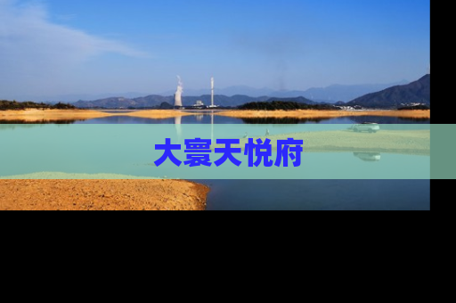 大寰天悦府